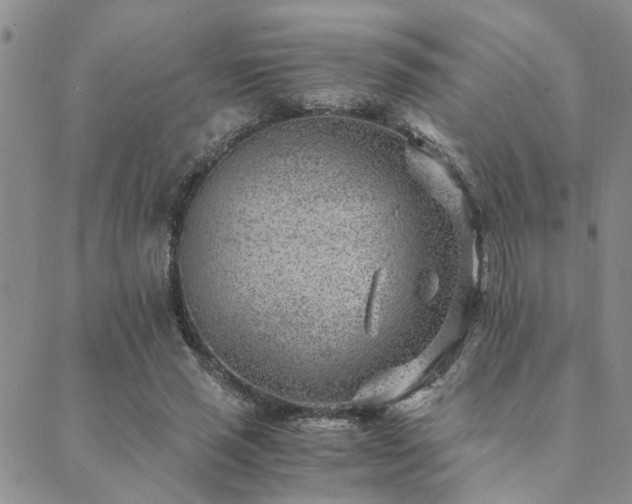 X0000089710637200706211344