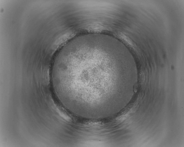 X0000089710638200706211344