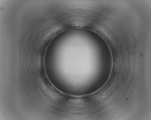 X0000089710639200706211344