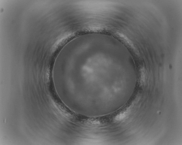 X0000089710640200706211344