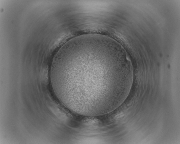 X0000089710642200706211344