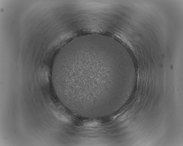 X0000089710643200706211344