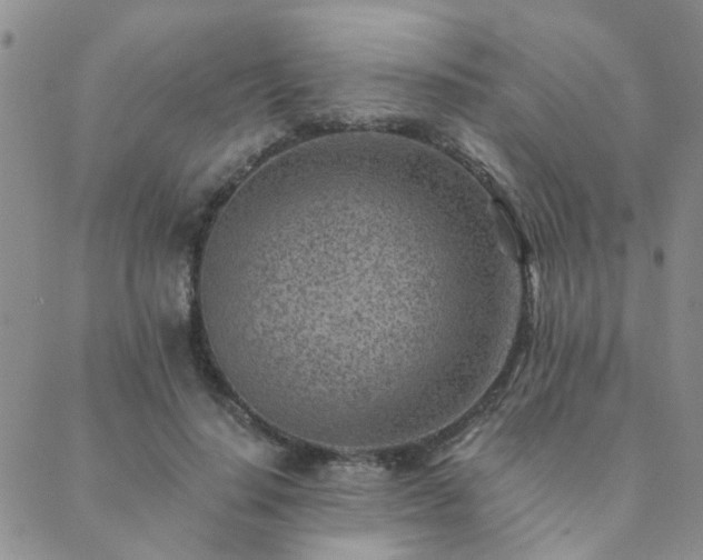 X0000089710644200706211344