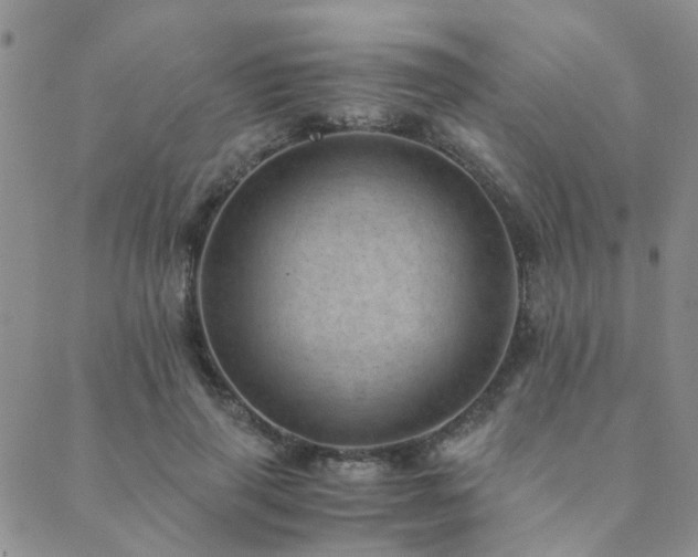 X0000089710645200706211344