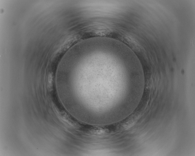 X0000089710646200706211344