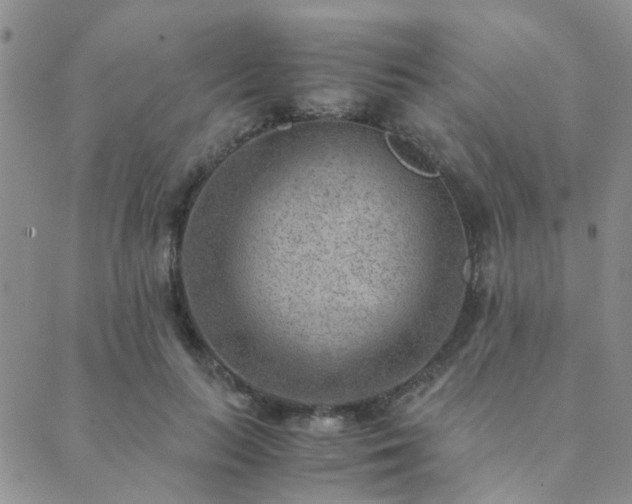 X0000089710647200706211344