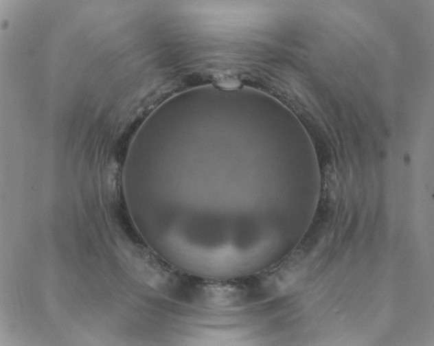 X0000089710650200706211344