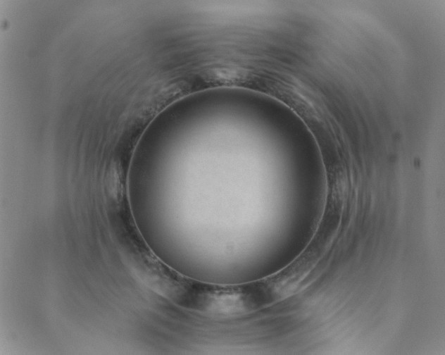 X0000089710651200706211344