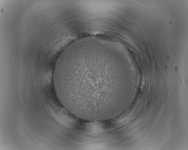 X0000089710652200706211344