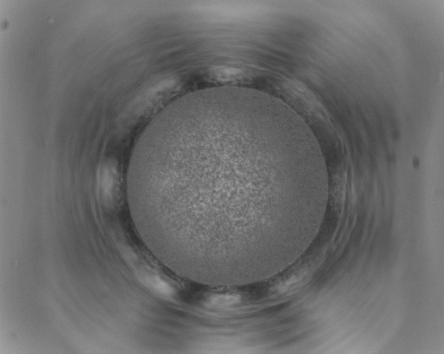 X0000089710653200706211344