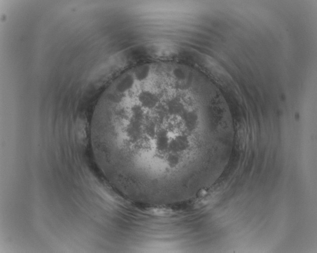 X0000089710654200706211344