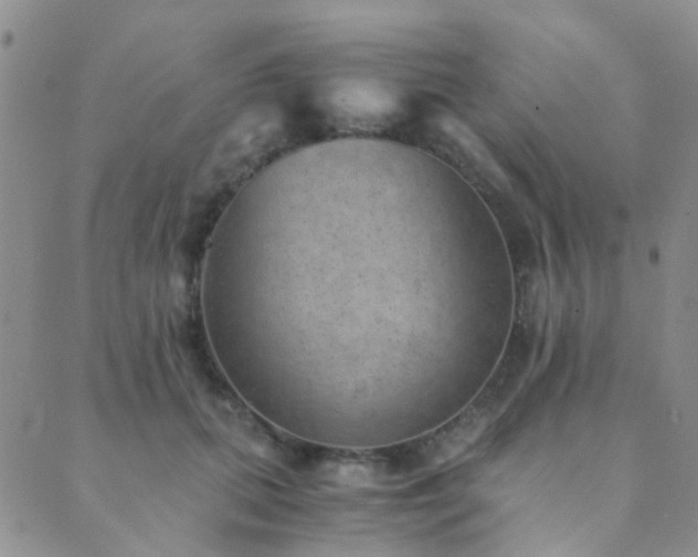 X0000089710655200706211344