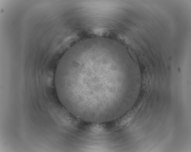 X0000089710656200706211344