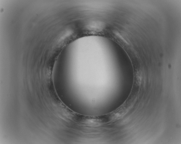 X0000089710657200706211344