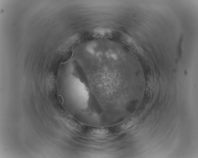 X0000089710659200706211344