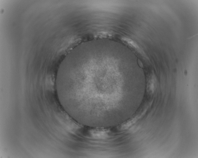 X0000089710661200706211344