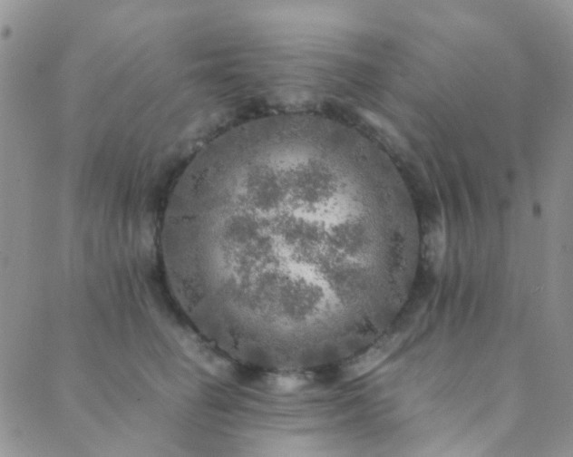 X0000089710662200706211344