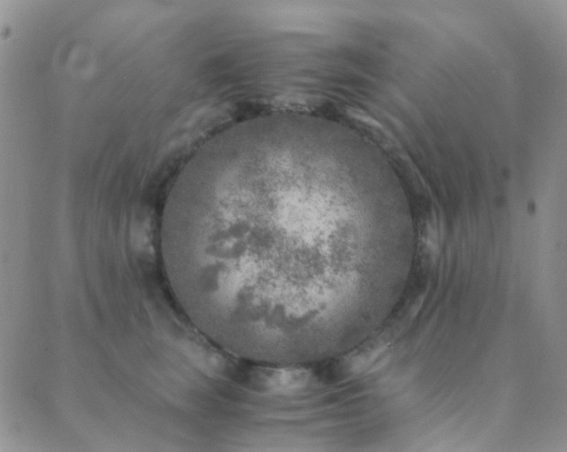 X0000089710663200706211344