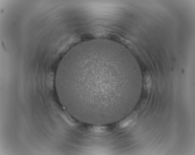 X0000089710664200706211344