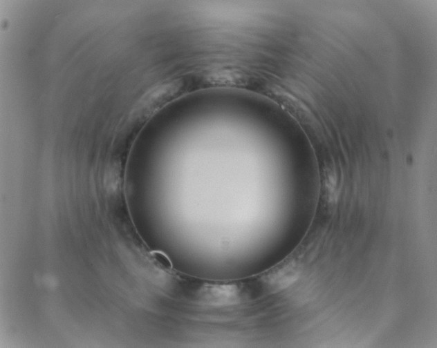 X0000089710665200706211344