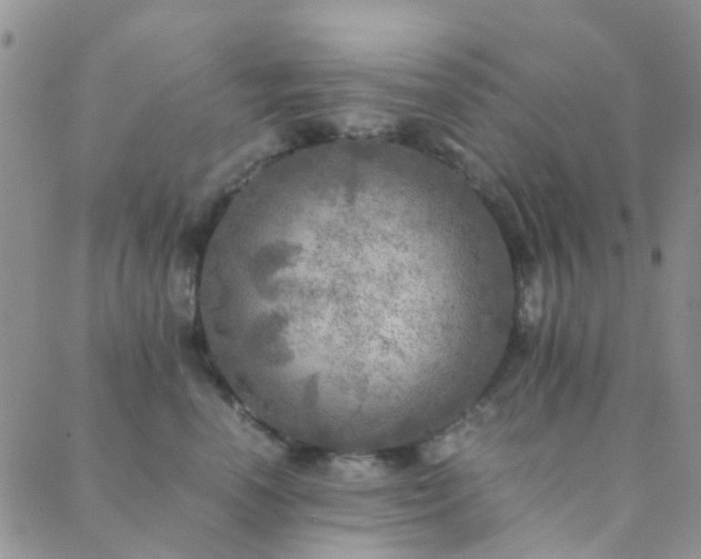 X0000089710666200706211344