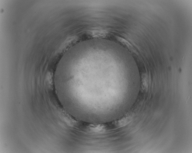 X0000089710667200706211344