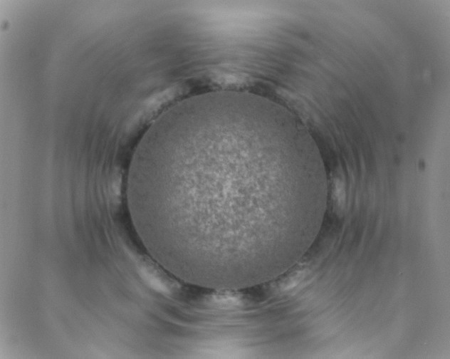 X0000089710668200706211344