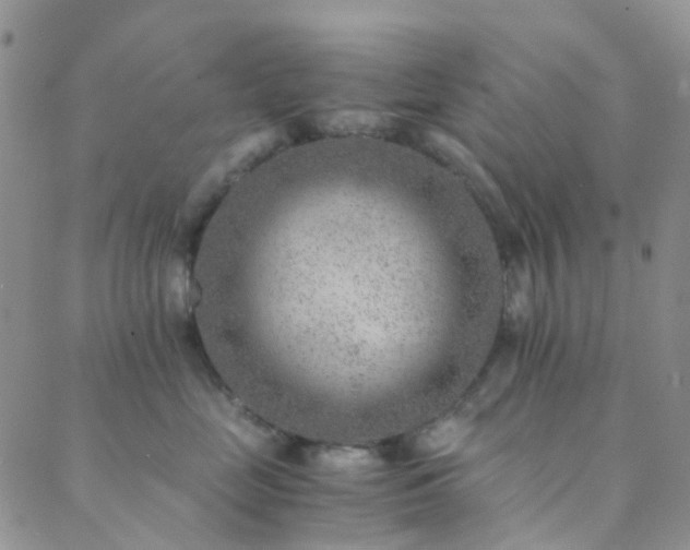 X0000089710669200706211345