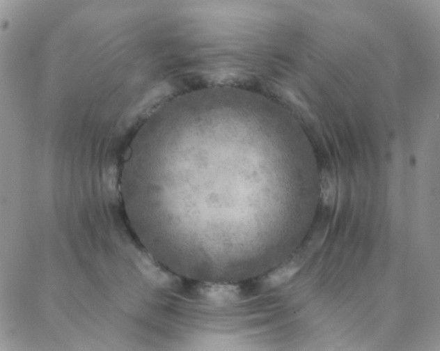 X0000089710670200706211345