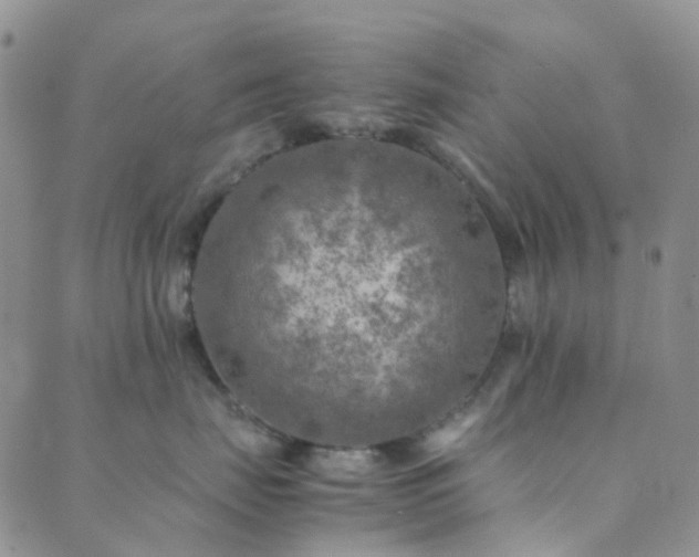 X0000089710671200706211345