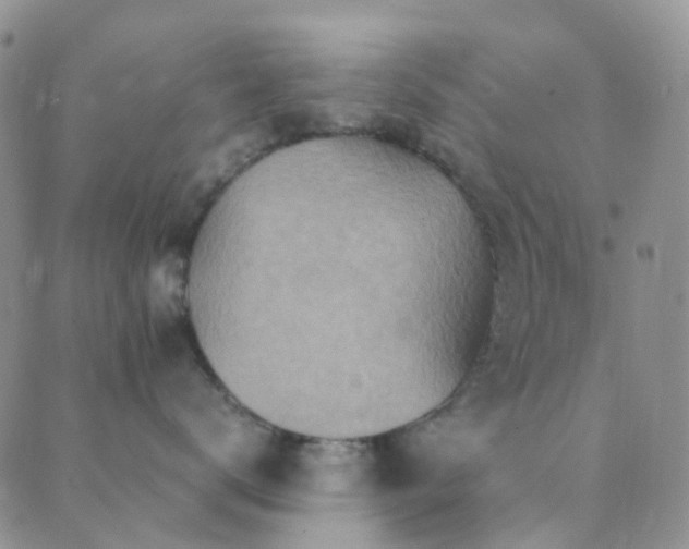 X0000089710672200706211345