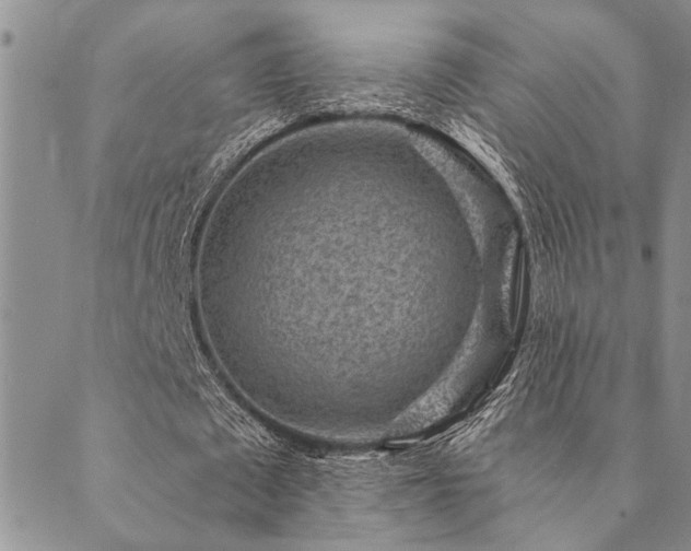 X0000089710673200706211344