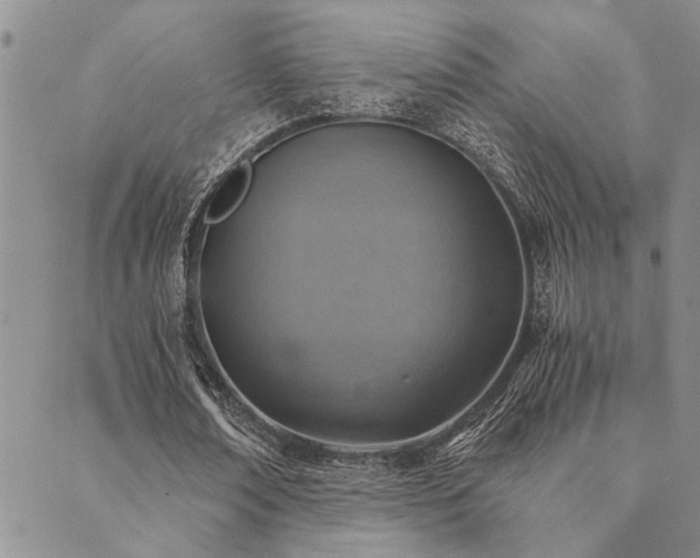 X0000089710674200706211344