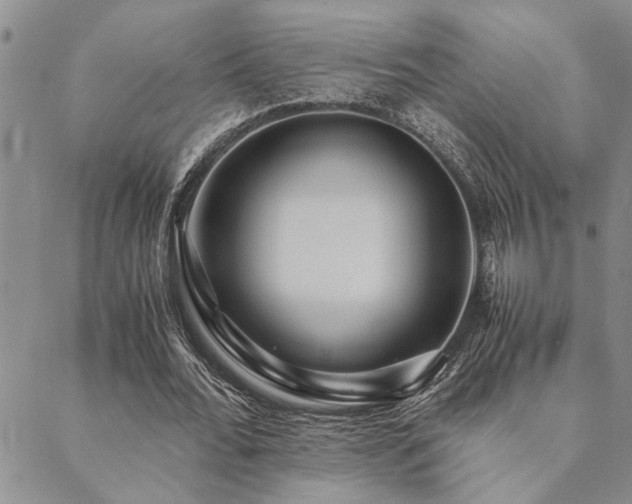 X0000089710676200706211344