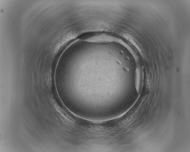 X0000089710677200706211344