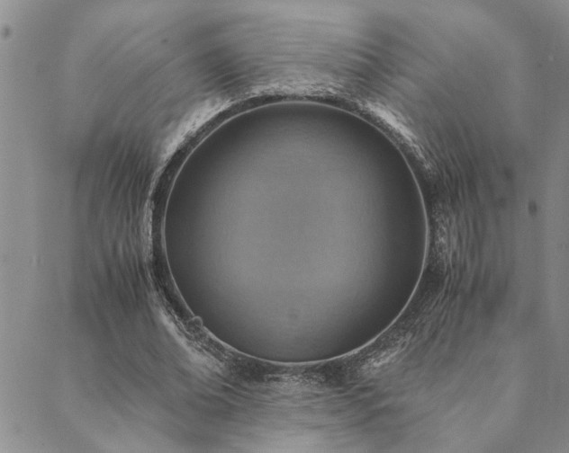 X0000089710678200706211344