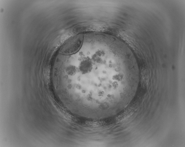 X0000089710679200706211344