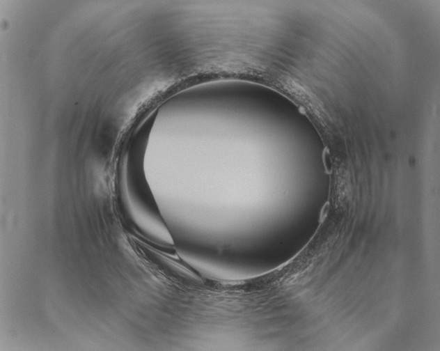 X0000089710680200706211344