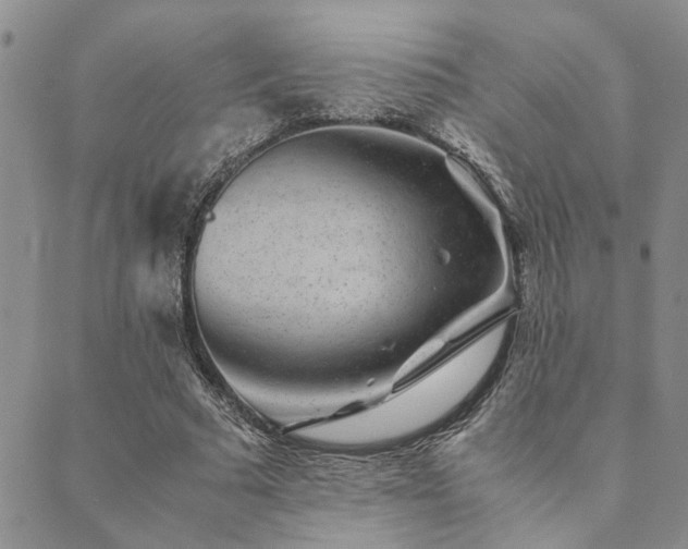 X0000089710681200706211344