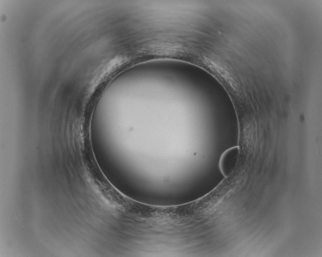 X0000089710682200706211344