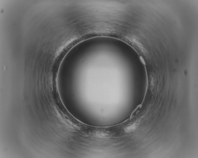 X0000089710684200706211344