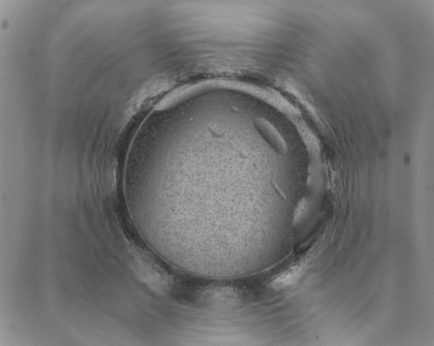 X0000089710685200706211344