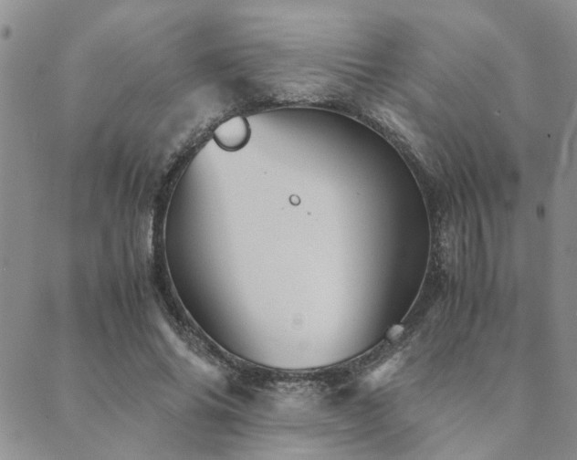 X0000089710686200706211344