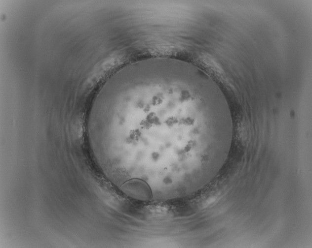 X0000089710687200706211344