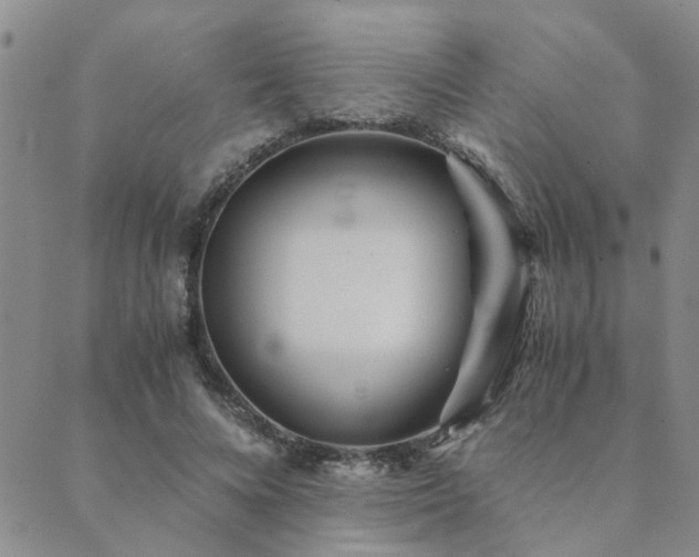 X0000089710688200706211344