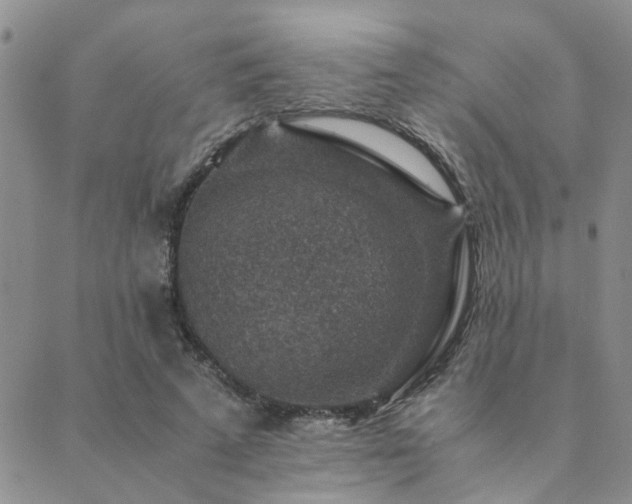 X0000089710689200706211344