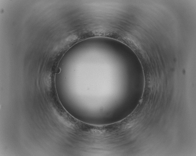 X0000089710690200706211344