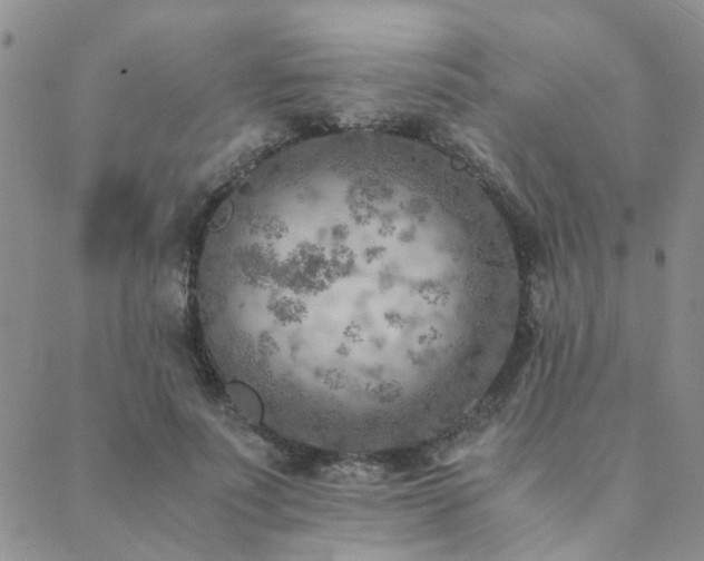 X0000089710691200706211343