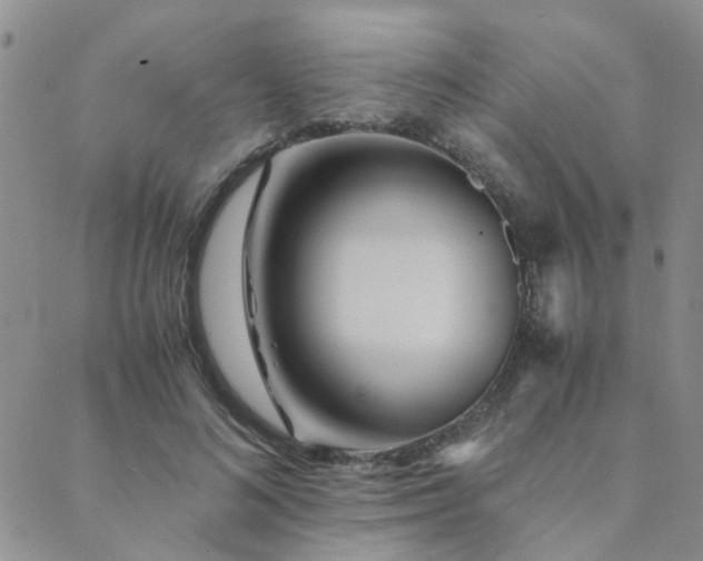 X0000089710692200706211343