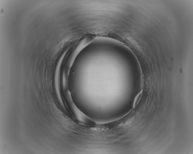 X0000089710693200706211343